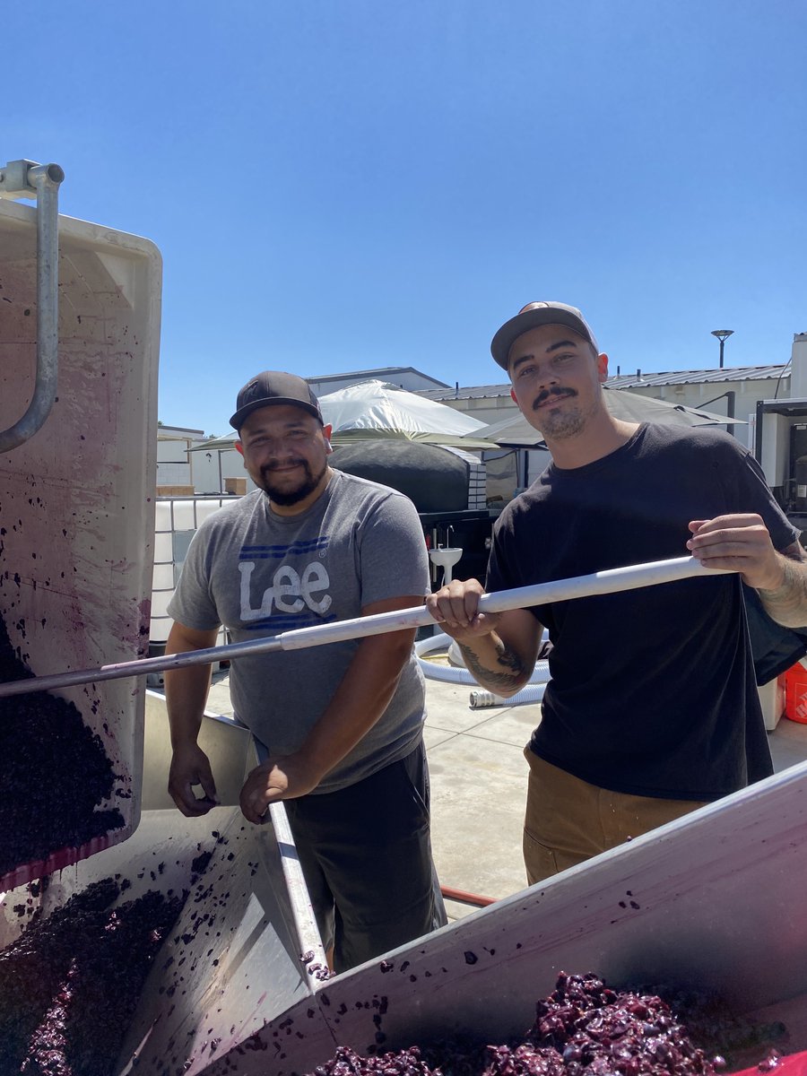 AkashWinery's tweet photo. Our #harvest MVP's Ruben &amp; Jason. These two never complain, are always smiling, work so damn hard (not just at harvest, but all year), &amp; are just down right genuine nice guys &amp; for that, we thank them so much! #californiawinemonth @CalifWines_US @visit_temecula @temecula_wine https://t.co/BJ9KD8tmFl