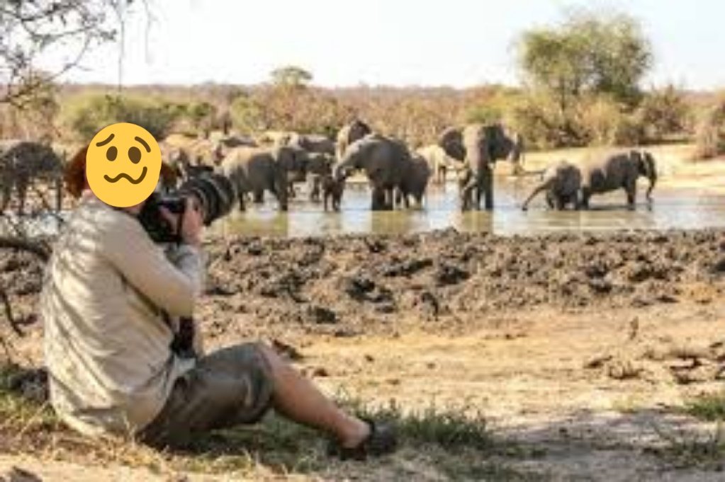NthabelengMorwa's tweet photo. @MyAfricanDream1 #MADTCPhoto https://t.co/Dfbx321anc