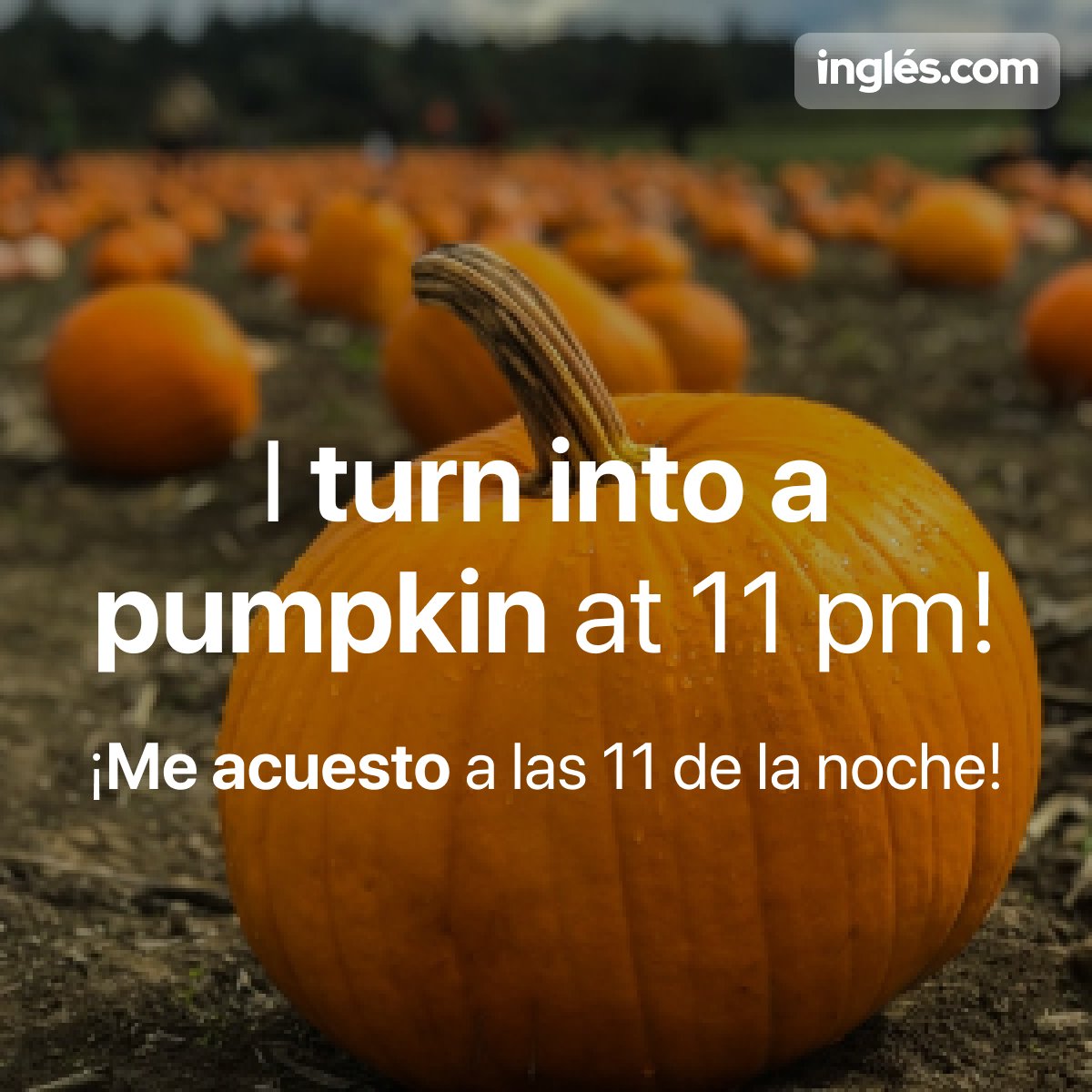 app_ingles's tweet photo. ¡El #ModismoDelDía de hoy es "to turn into a pumpkin"🎃, que literalmente significa "convertirse en una calabaza"!
.
.
#LearnEnglish #AprenderIngles #Ingles #AprendeIngles #EstudiarIngles #Idiom #EnglishVocabulary #EnglishIdioms #ModismosEnIngles #ExpresionesIdiomaticasEnIngles https://t.co/pm5Q1amvzb