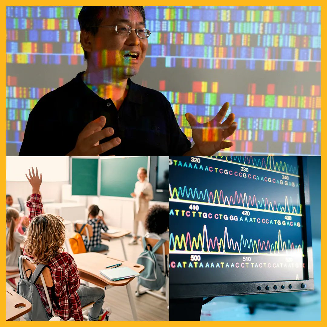 Baylor DPT tweet media