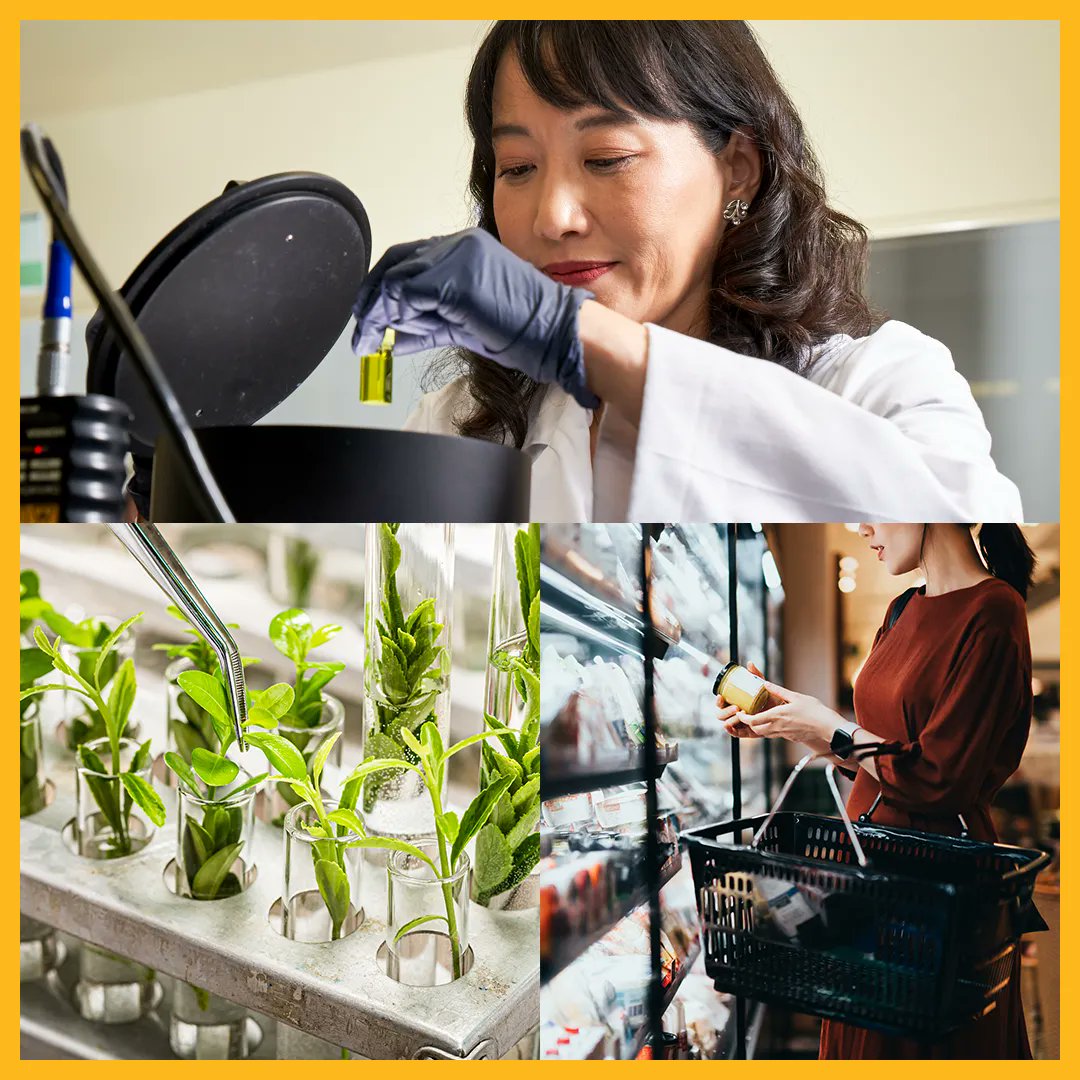 Baylor DPT tweet media