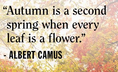 S5_Attachments's tweet photo. "#Autmun is a second spring when every leaf is a flower." #HappyFall! #fall #autumn #nature #halloween #october #fallvibes #autumnvibes #pumpkin #leaves #naturephotography #fallcolors #travel #beautiful #fallfashion #falldecor #landscape #pumpkins #autumncolors #autumnleaves https://t.co/9bcs8DXOo8