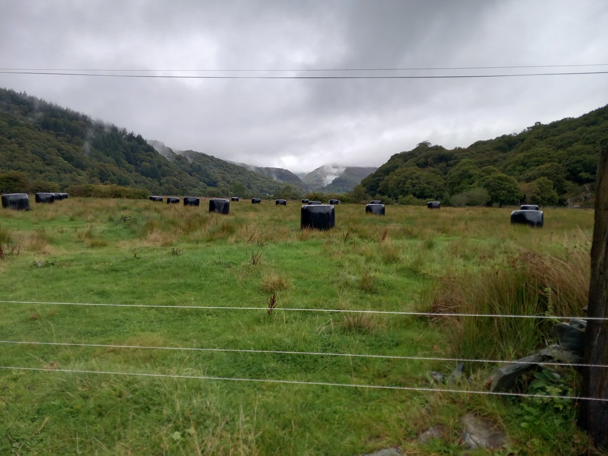 Tom Cratchley (@tom_cratchley) on Twitter photo Great 2 days seeing some fantastic enterprises in North Wales with a focus on regenerative ag and direct selling. Lots of great people doing great things. @Sambrondanw <a href="/TeleriFielden/">Snowdonia Shepherdess - Bugeiles Bach</a> <a href="/TheRegenerativ2/">Huw Foulkes 🏴</a> Great 2 days seeing some fantastic enterprises in North Wales with a focus on regenerative ag and direct selling. Lots of great people doing great things. @Sambrondanw <a href="/TeleriFielden/">Snowdonia Shepherdess - Bugeiles Bach</a> <a href="/TheRegenerativ2/">Huw Foulkes 🏴</a>