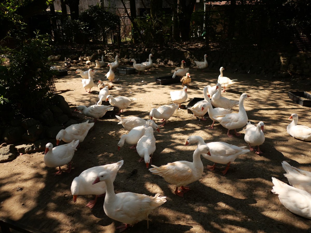 何を見て何を思うか