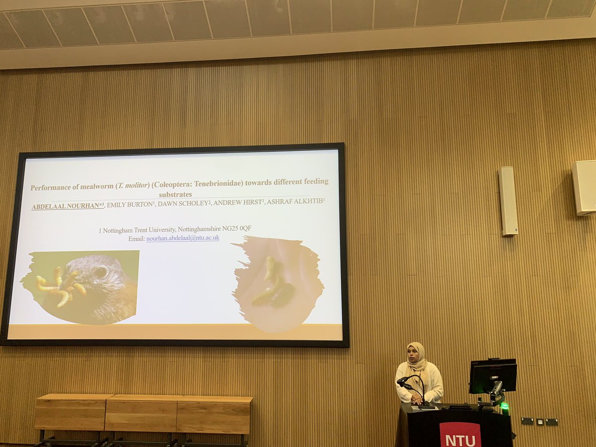 NTU_ARES's tweet photo. We’re halfway through session 3!
Our last PhD student in this session is Nourhan Abdelaal, presenting her study on the ‘Performance of #mealworms towards different unconventional substrates’ discussing effects of different feed on them.
#ARESResearchConference https://t.co/liQg6nnZCI