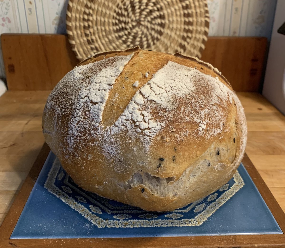 Very roly poly little loaf!  2 tablespoons of everything bagel spices folded in. @iamthealphacat #sourdough
