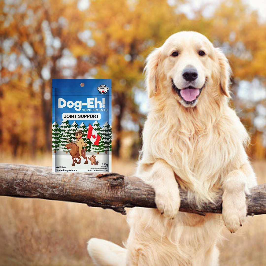 DogEhOfficial's tweet photo. Is your dog slowing down? Getting stiff in their old age? Find out more at https://t.co/kWUmyEDwuU
#doghealth #agingdogs #olddogsrule #olddogs #seniordogs #dogjoints #dogjointsupport #dogsupplements #helpyourdog #dogeh #dogehjointsupport https://t.co/OVNJNCm9jG
