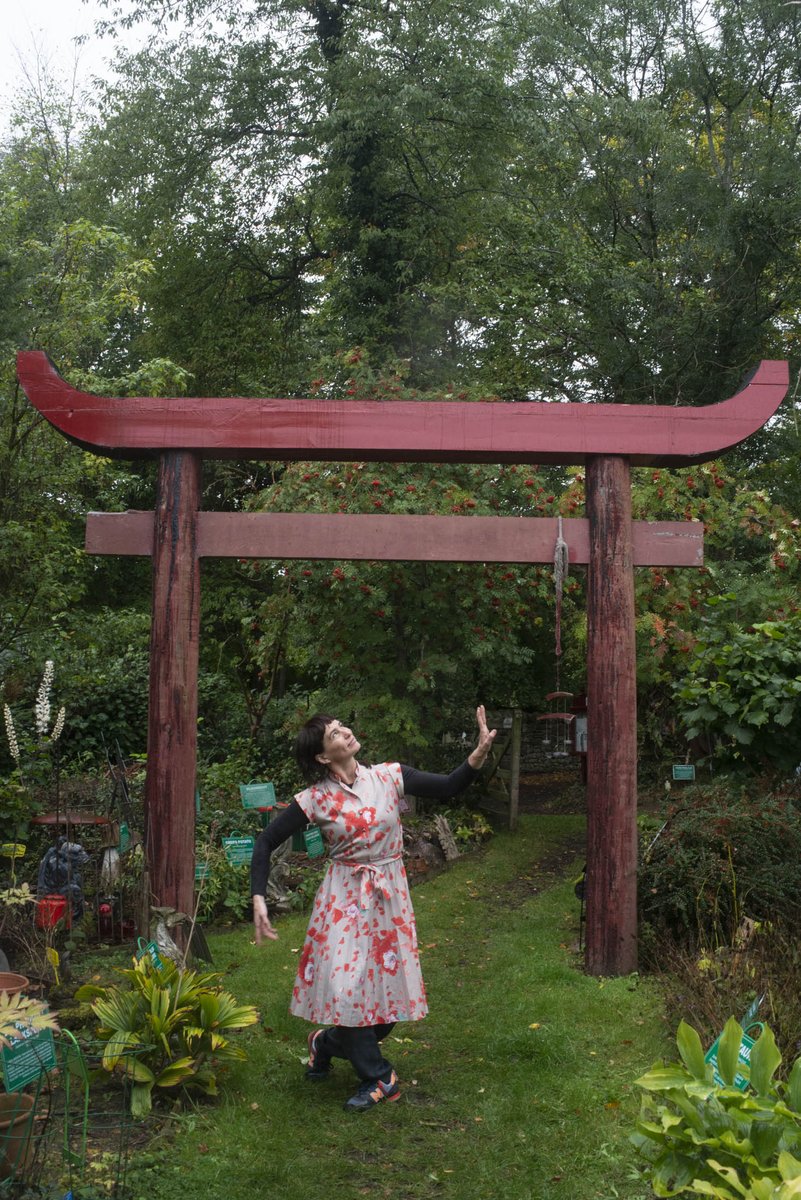 Balbir Singh Dance Co tweet media