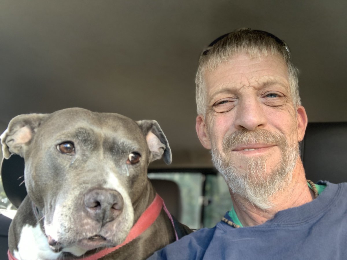 dcwingate's tweet photo. Diamond Trippin Friday ๐พ๐พ๐ฅ
Off to get the truck inspected which is very serious business to the ๐ฅ apparently. Then she remembered this is a no treat shop! ๐พ๐พ๐คฌ
#CursesFoiledAgain #DaddysPotato
#GrayFaceMafia #DogsofTwittter #DogsOnTwitter #AdoptDontShop #RescueSeniors https://t.co/UfOXwm0XgZ