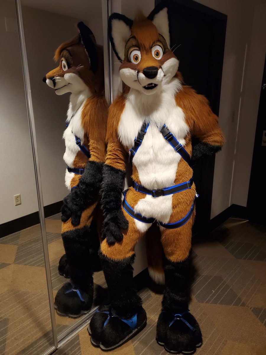 JimDaleFox's tweet photo. A friend let me try on his new harness back at TFF earlier year this year.  I need to get me one!

#FursuitFriday https://t.co/t182oOIsZx