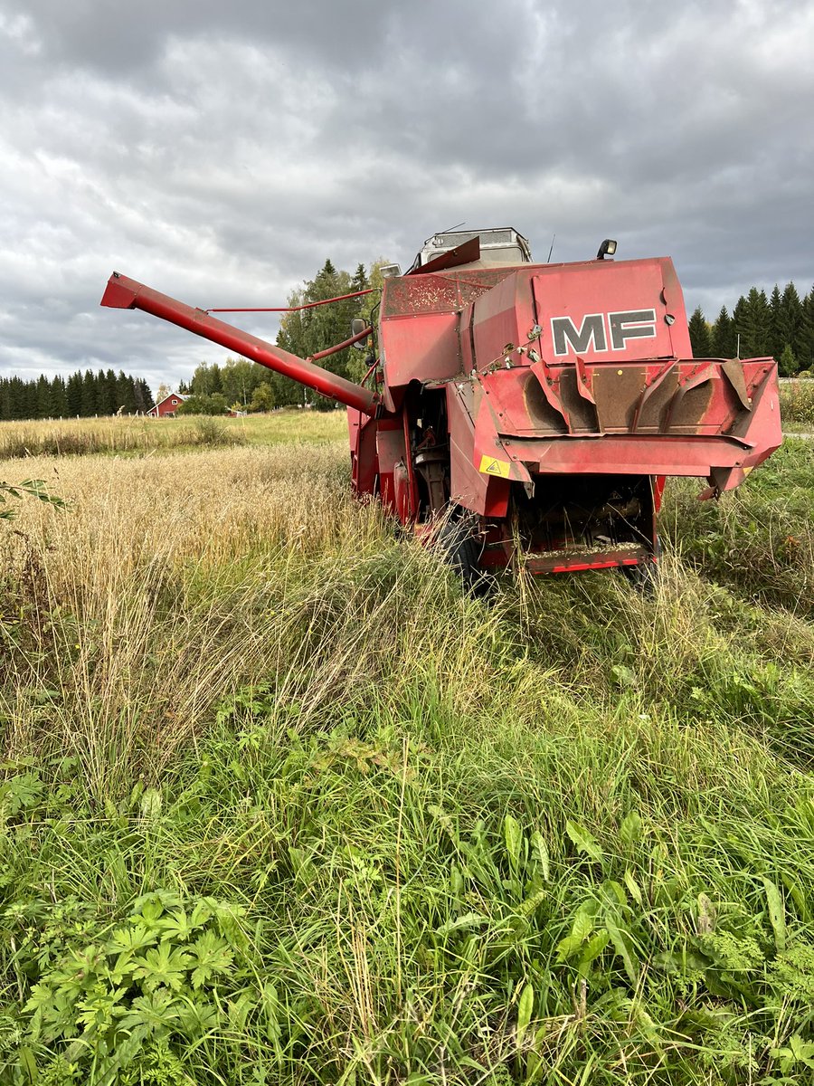 MotherFucker pääsi vihdoinkin hommiin. Nyt on sitä mustaa kauraa tuloillaan <a href="/Maan_viljelija/">.</a> #maanviljely