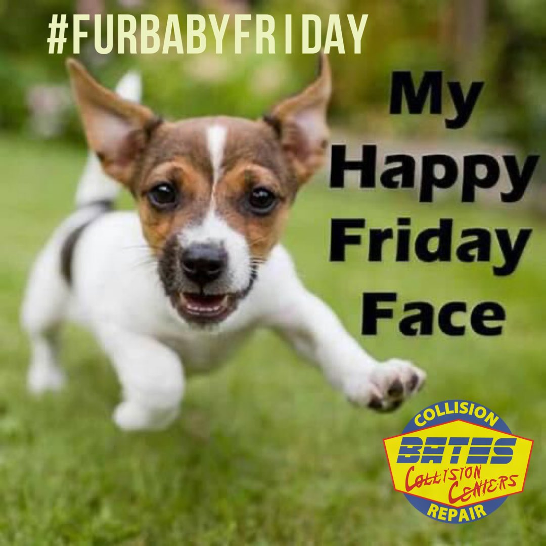 Bates_Collision's tweet photo. Happy Friday! Let’s kick off the day with a #FurBabyFriday showdown!  Give us your happiest #furbaby pic in comments! 🐶📷😸
#collisioncenter #bestbodyshop #lifetimewarranty #autobodyshop #amazingcustomerservice 
https://t.co/BvYIJ0cBOR https://t.co/XSBcyGMZEp