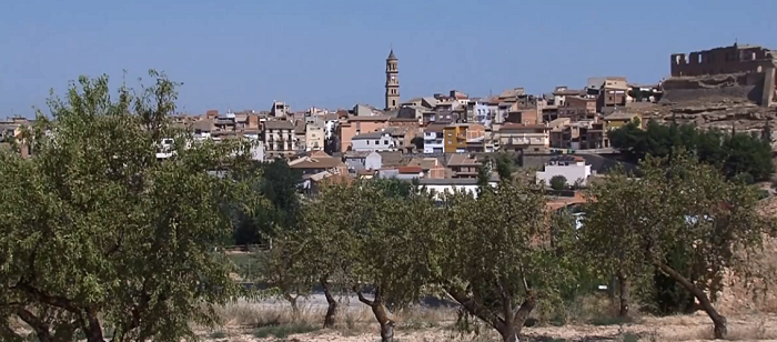 Temperotv's tweet photo. El olivar es una seña de identidad de los pueblos orientales del Bajo Aragón. Un patrimonio posible gracias a la labor de la Denominación de Origen @DOPAceiteBA y a las almazaras que la conforman. Mañana conoceremos a una de ellas, la Gil Egerique. A las 14:55h en @aragontv. https://t.co/MYhEKTokx6