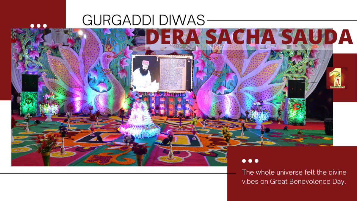 Dera Sacha Sauda tweet media
