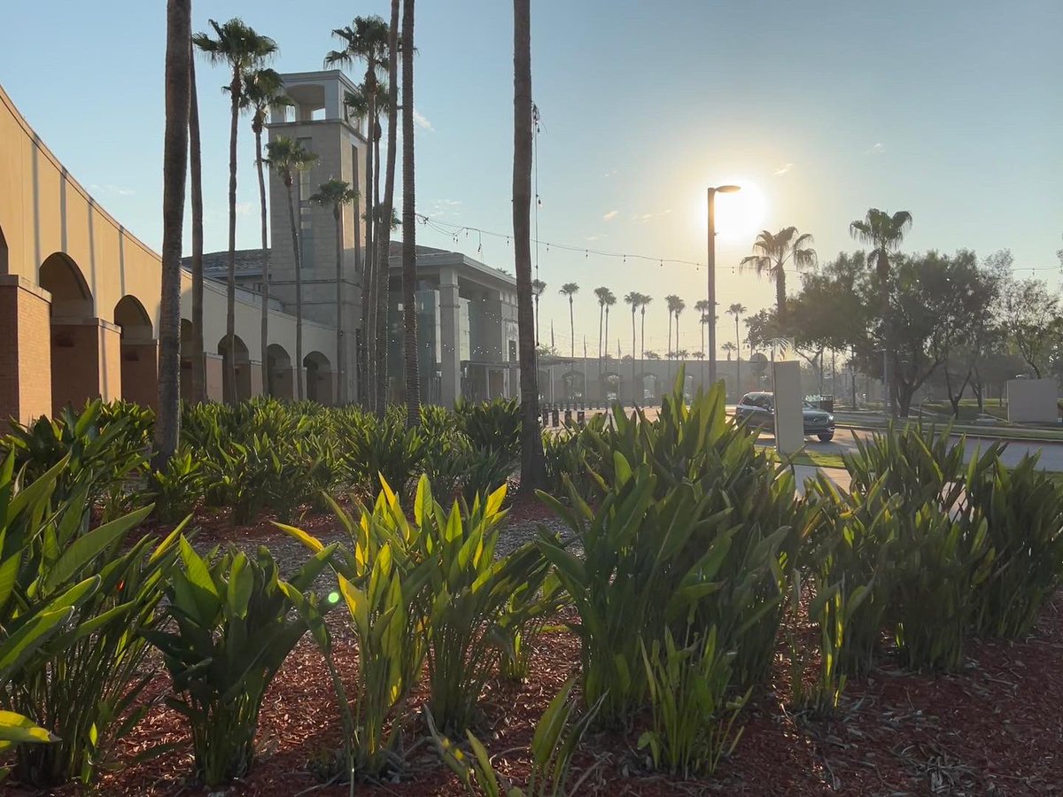 Dakota Pawlicki tweet media