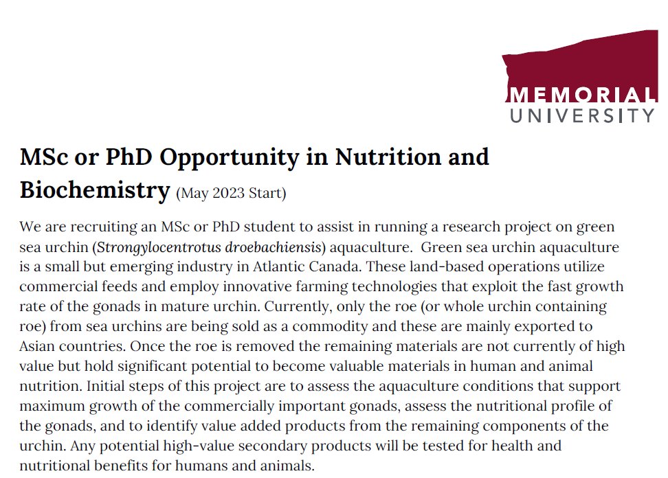 DavidHuyben's tweet photo. MSc or PhD position on sea urchin nutrition and biochemistry @MemorialU with Dr. Scott Harding (sharding@mun.ca). Please email him for more details. #fishjobs #gradschool #seaurchins https://t.co/YAgKsZ4NLY