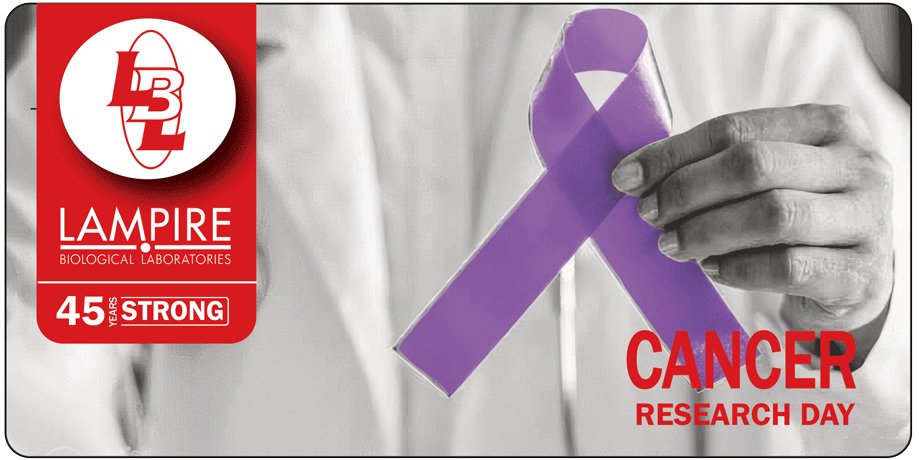LampireBIO's tweet photo. Tomorrow is a very important day... World Cancer Research Day.  LAMPIRE cannot even begin to put into words how grateful and thankful we are for your hard work in combating this horrible disease.   Your efforts have saved and helped millions of lives.  THANK YOU! @WCRD24Sept https://t.co/vV7pUQgW1t