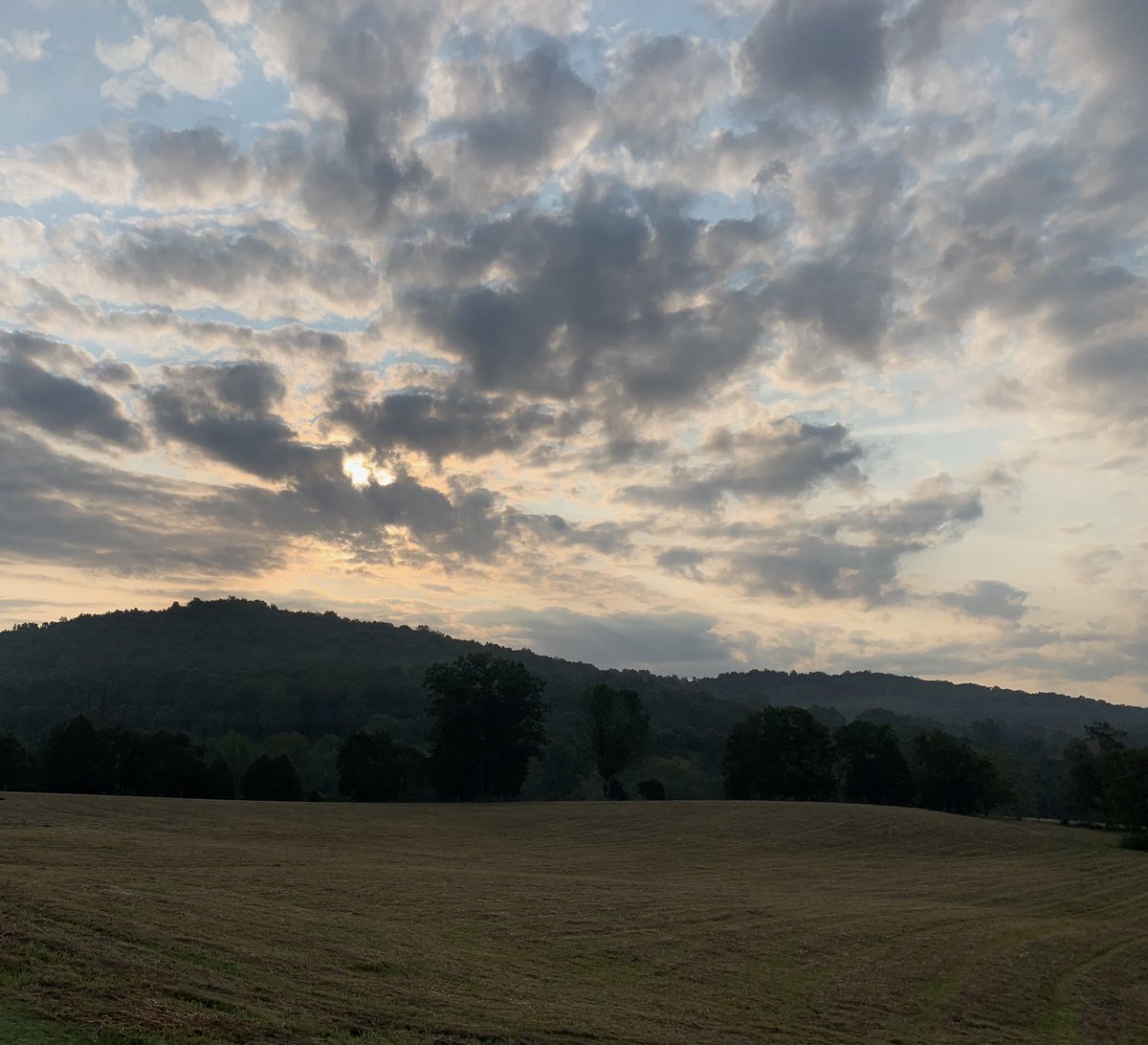 ride_RTEC's tweet photo. The Beauty of Rural Transit. 
This is RTEC Country! @ride_RTEC #RTECCountry #rteccountry #TeamRTEC https://t.co/lph4PEEB6W