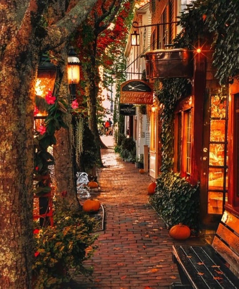 WickedAsEver's tweet image. 