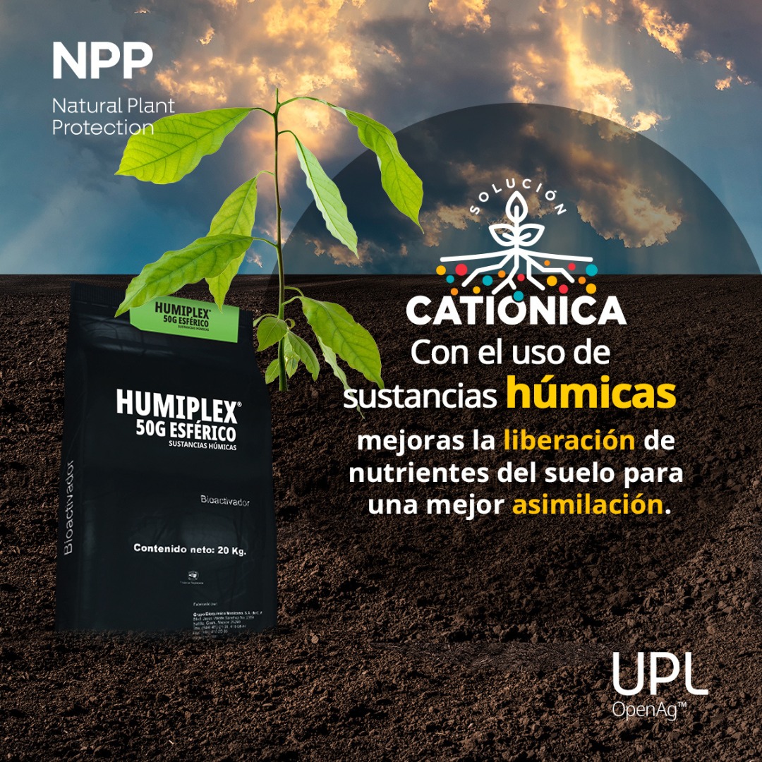uplagro_mexico's tweet photo. #Humiplex es tu aliado para una mayor liberación de #Nutrientes y es parte de solución catiónica @uplagro_mexico 🌱🧲
Conoce más de #UPL 👉 https://t.co/w9FeO6o7et
#Agronomía #Cultivo #Fertilizantes #Agricultura #CampoMexicano #CultivosMexicanos #México #AgroMéxico #UPLMexico https://t.co/1m7CSt0TYC