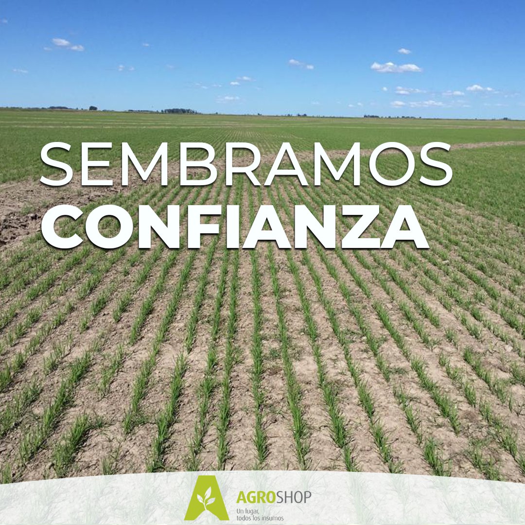 Agroshop33's tweet photo. Sembramos confianza para generar relaciones fructíferas y duraderas con nuestros clientes. 🌱🤝 https://t.co/KWhs8VC4zi
