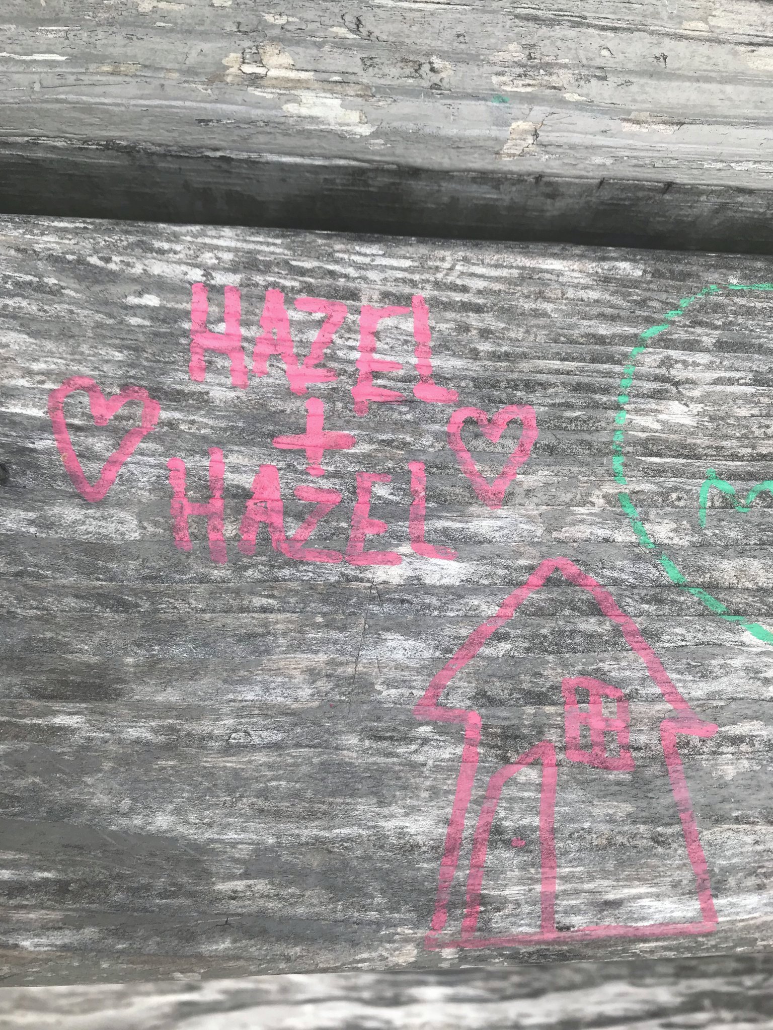 heɪz(ə)l on Twitter "this hazel house is a hazel home ♥ https//t.co