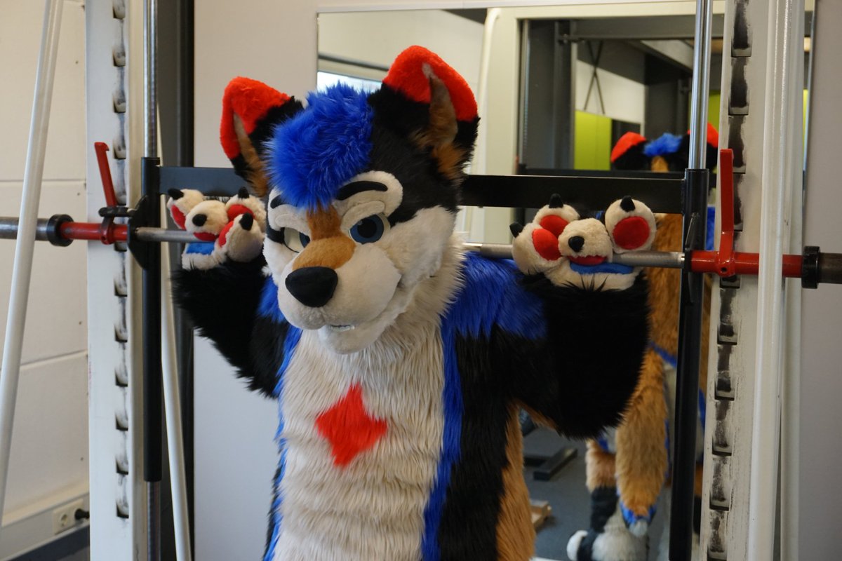 β¨ @tagaro.bsky.social β¨ (@tagaro_woof) on Twitter photo Today is Gym #FursuitFriday πποΈββοΈ
πΈ <a href="/Chengdu_Panda/">π³οΈβπ @chengdu-panda.bsky.social π³οΈβπ</a>
βοΈ <a href="/Roofur/">Roofur Suits</a> Today is Gym #FursuitFriday πποΈββοΈ
πΈ <a href="/Chengdu_Panda/">π³οΈβπ @chengdu-panda.bsky.social π³οΈβπ</a>
βοΈ <a href="/Roofur/">Roofur Suits</a>