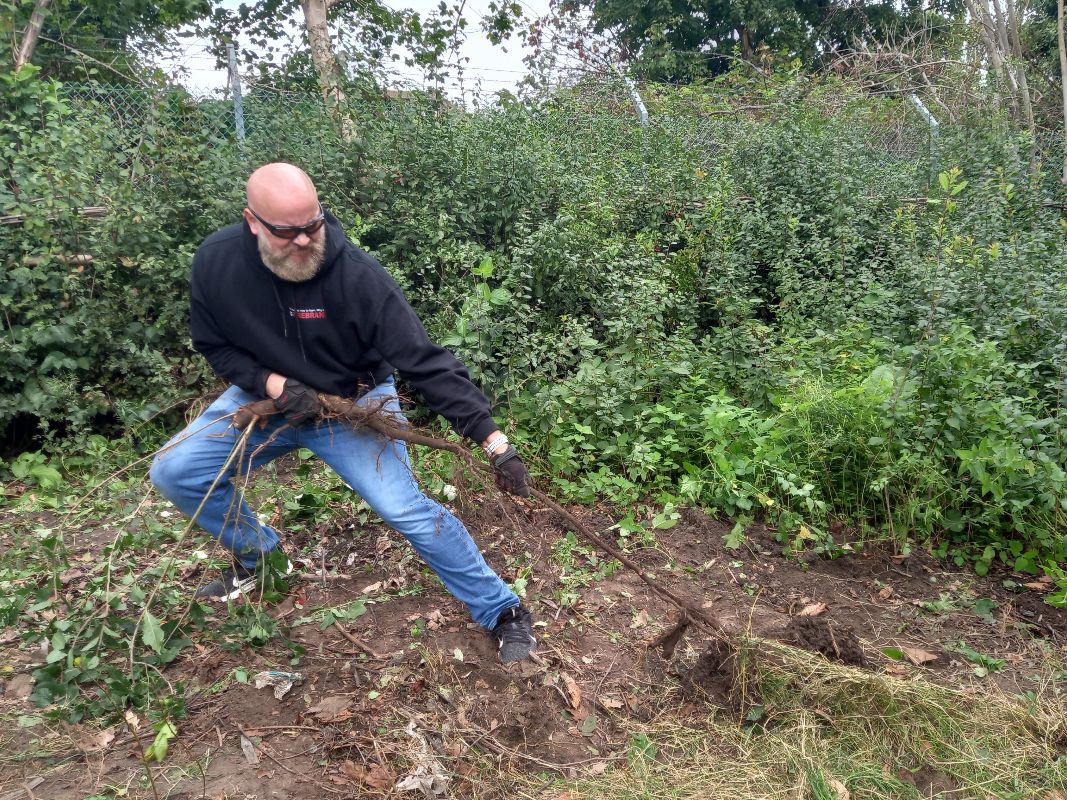 Green Gym Weekly Update, 23rd September 2022 - mailchi.mp/7d96d981b681/g… @LBRUT @FriendsRivCrane @habsandheritage #joininfeegood