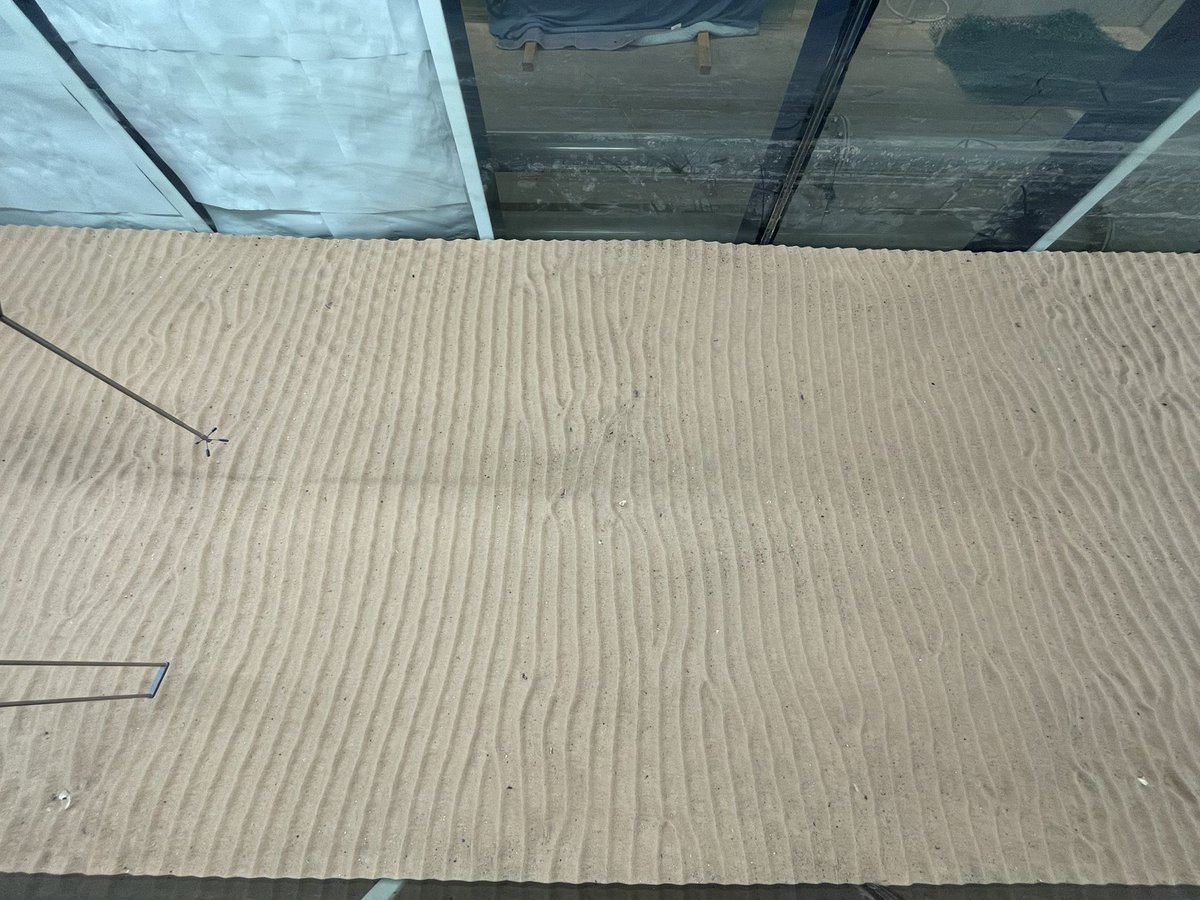 dr_bw's tweet image. Was in the lab yesterday with @Delta18O and his GY306 sedimentology class making #wave orbital (vortex) #ripples. Look at these #bedforms! #FlumeFriday