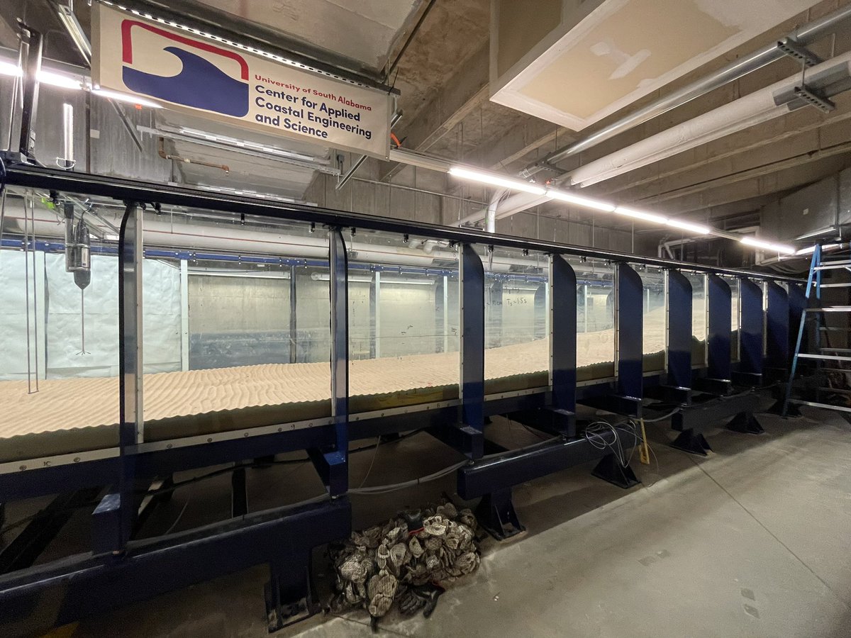dr_bw's tweet image. Was in the lab yesterday with @Delta18O and his GY306 sedimentology class making #wave orbital (vortex) #ripples. Look at these #bedforms! #FlumeFriday