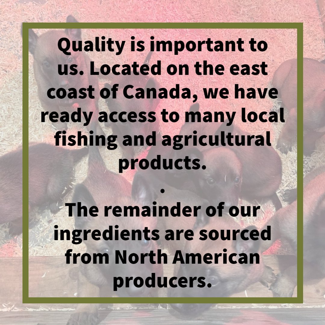 Where are your ingredients sourced?⁠
⁠
Quality is important to us.  Located on the east coast of Canada, we have ready access to many local fishing and agricultural products. The remainder of our ingredients are sourced from North American producers.⁠