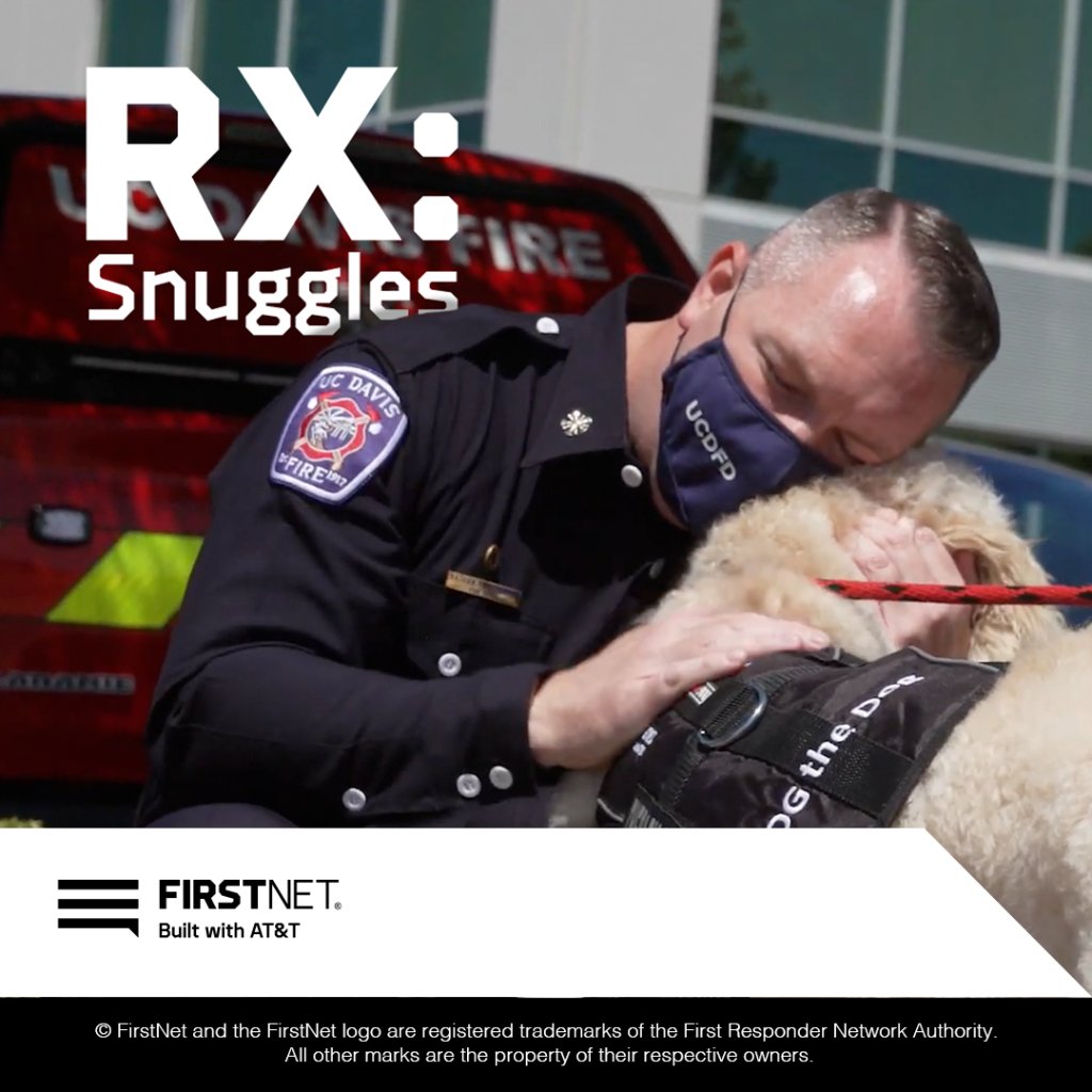 After a critical event, our ROG the Dog program provided by FirstNet offers access to a professionally trained therapy dog from our nationwide fleet of them.