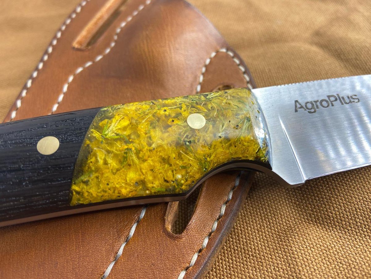 Book 160 acres of <a href="/CROPLANseed/">CROPLAN_North</a> canola from @WinFieldCanada from any AgroPlus location to have a chance to win this custom knife made by <a href="/LyleJensen6/">Lyle Jensen</a> 
<a href="/Agroplus5/">Agroplus</a> <a href="/AgroPlusSolns/">Agro Plus Solutions</a> <a href="/HoldingsAgro/">AgroPlus Holdings</a> <a href="/AgroPlusLeth/">Harv Reimer</a> #croplan #agroplus #custommade #westcdnag #cdnag #seed #Alberta