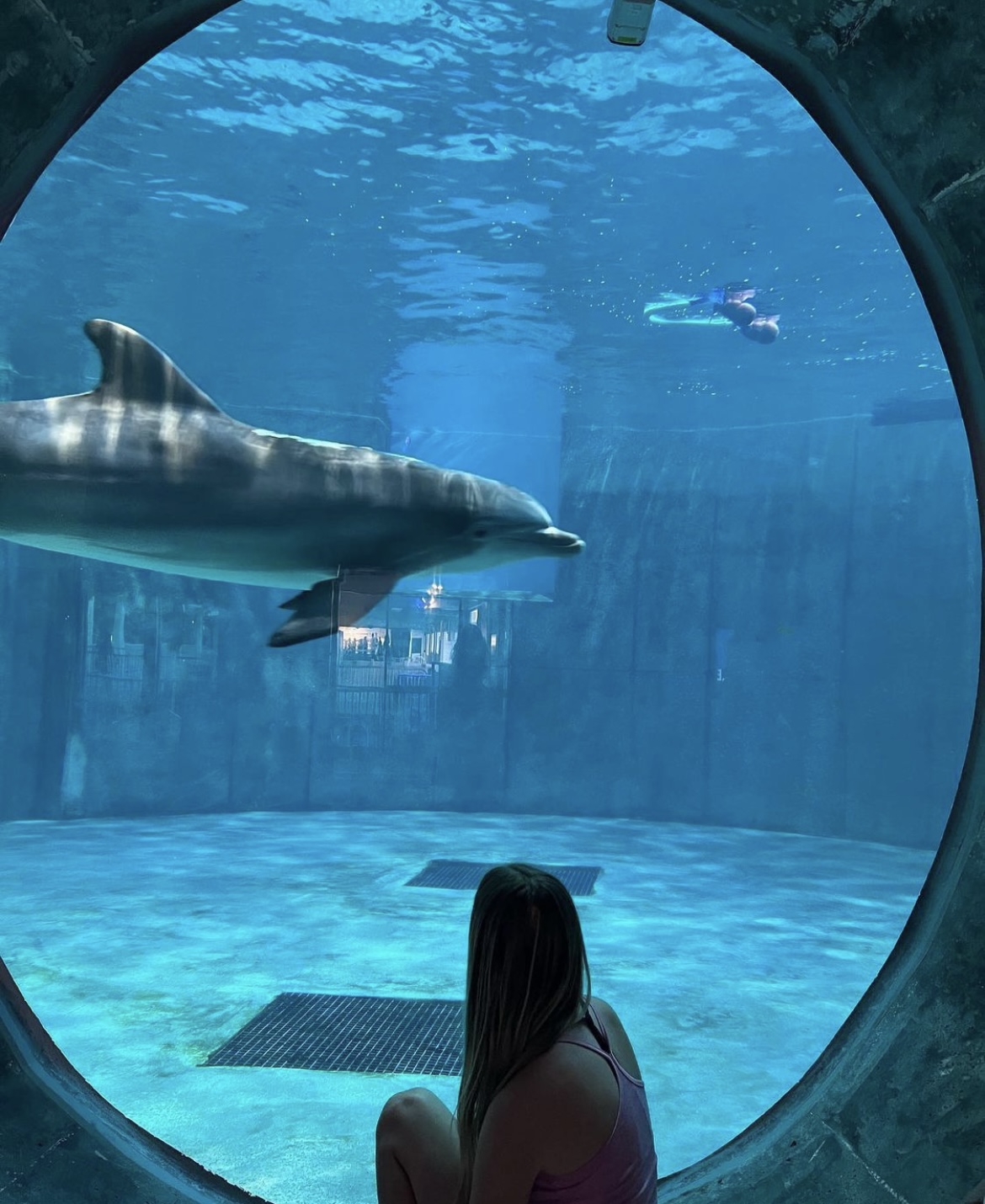 Clearwater Aquarium on Twitter "Our fan photos are sure to brighten anyone's day! When you