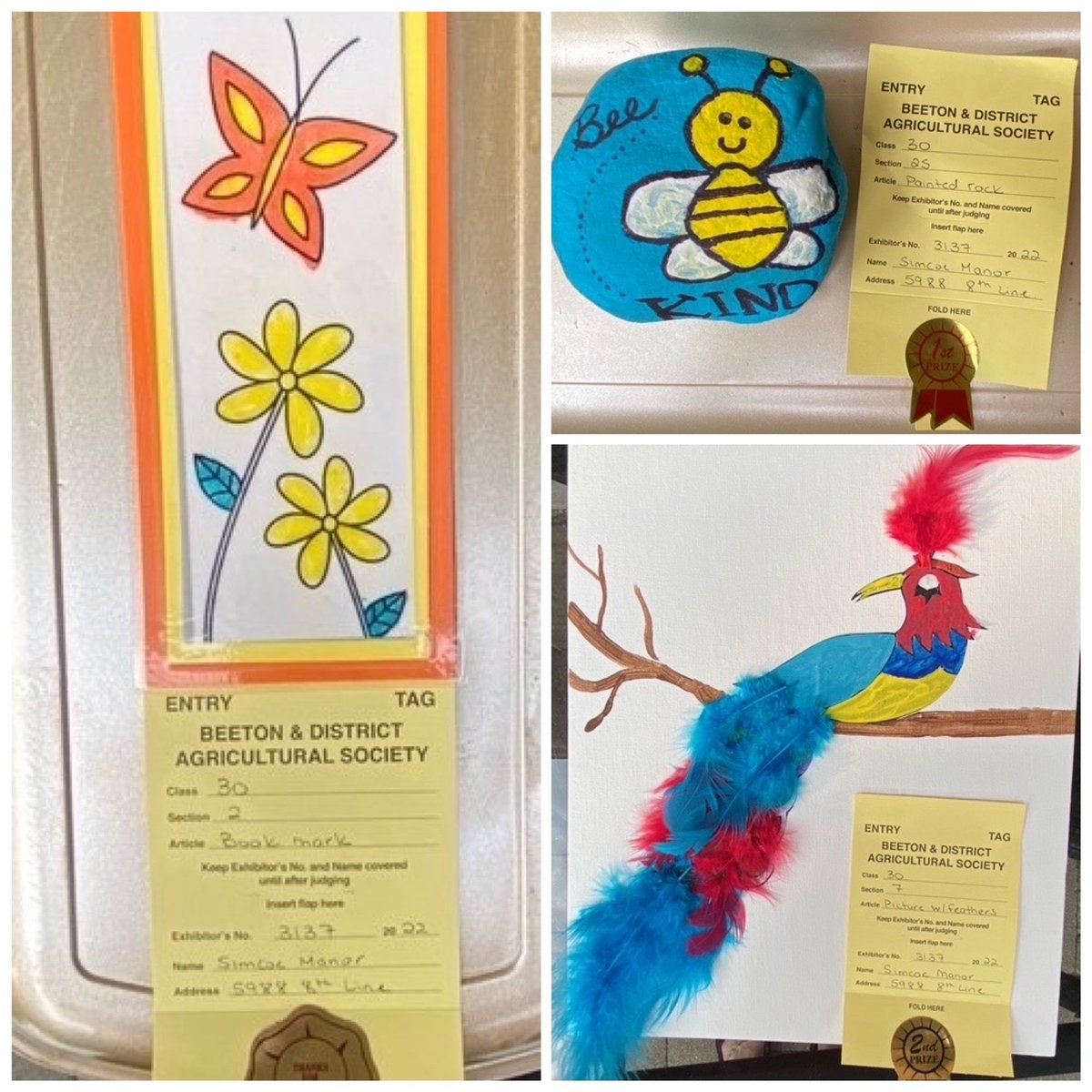 simcoecounty's tweet photo. #Congratulations to the #SimcoeManor residents who participated in this years #Beeton #FallFair craft submissions. Our talented residents worked hard, & we are so proud of their accomplishments. All winnings will go towards their #Halloween social.
#newtecumseth #simcoecounty https://t.co/nHDw7D3gSc