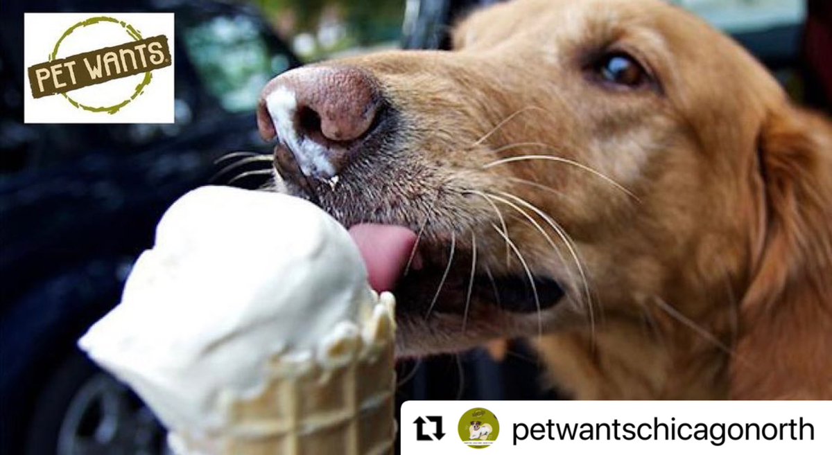 Treat your pup to pet-friendly ice cream at #Edgebrook’s Pet Wants, tomorrow 9/24, 12-2pm! 🐶🍦 

#Repost
・・・
🚨 Just a reminder our ice cream event will be
On SATURDAY SEPT 24th from 12-2 pm at our store.
Don’t forget and join us!!!! 🍦 🐶