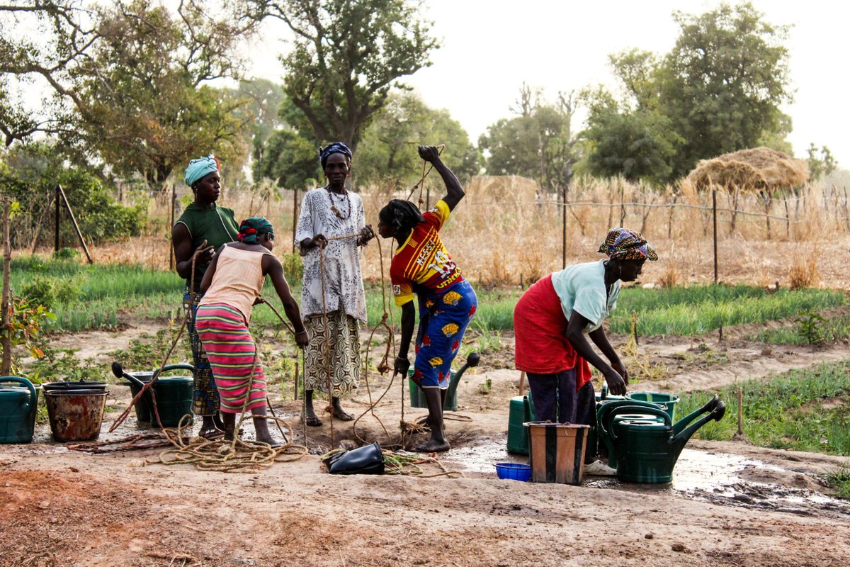 À l'occasion de la #SemaineDeLÉgalitéDesSexes, découvrez notre projet en faveur de l'éducation 📚 et de l'autonomisation économique 🔑 des filles et femmes des communautés rurales cacaoyères 🍫 de Côte d'Ivoire 🇨🇮 

Plus d'infos➡️ bit.ly/ProjetIFCC