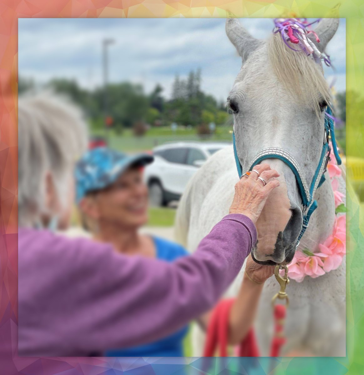 petting_farm's tweet photo. Join us for our Annual Fall Fest! Featuring Chamberlin Pony Rides from 11am to 3pm! 
Visit our event page for more information:
https://t.co/BhKG9F2aBa
To share or RSVP for the event:
https://t.co/X3FyCi5BR7 https://t.co/HX3O399VAs