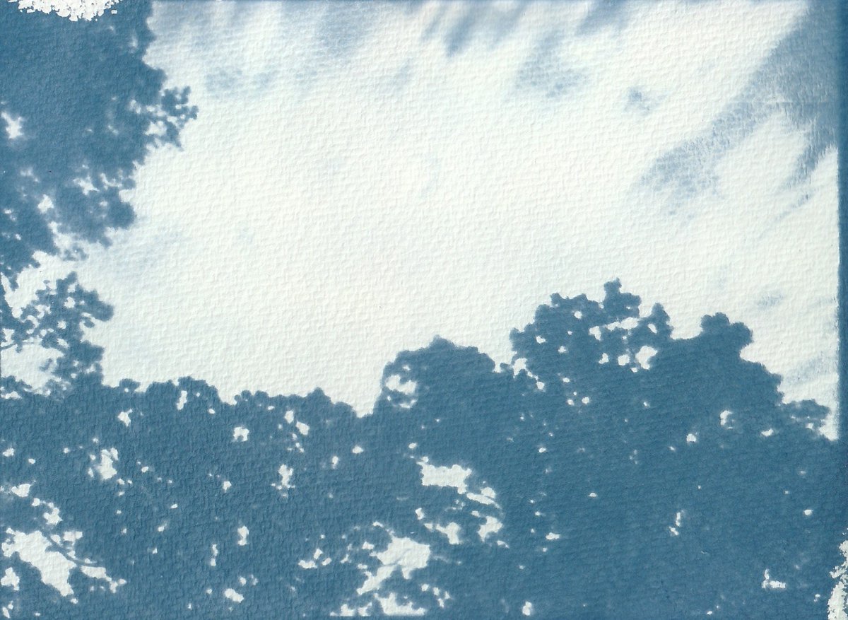 Bltremor's tweet photo. Excited to share the latest addition to my #etsy shop: Cyanotype Landscape https://t.co/GRd1aZ4tM4 #blue #framed #artdeco #landscapescenery #horizontal #cyanotype #alternative #landscape #paper https://t.co/TpO9YbdUMd