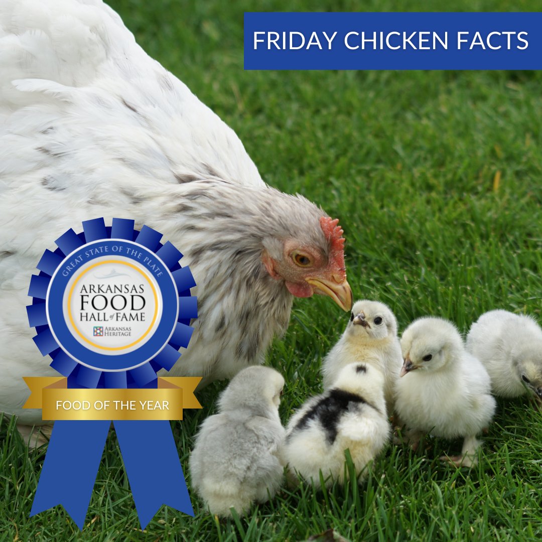 YourARHeritage's tweet photo. Over 6,500 farms in Arkansas produce some type of poultry. Northwest Arkansas, particularly Washington and Benton counties, produces the most poultry in the state.  #authenticarkansas #ArkFoodHOF https://t.co/v8bZIAjL6F
