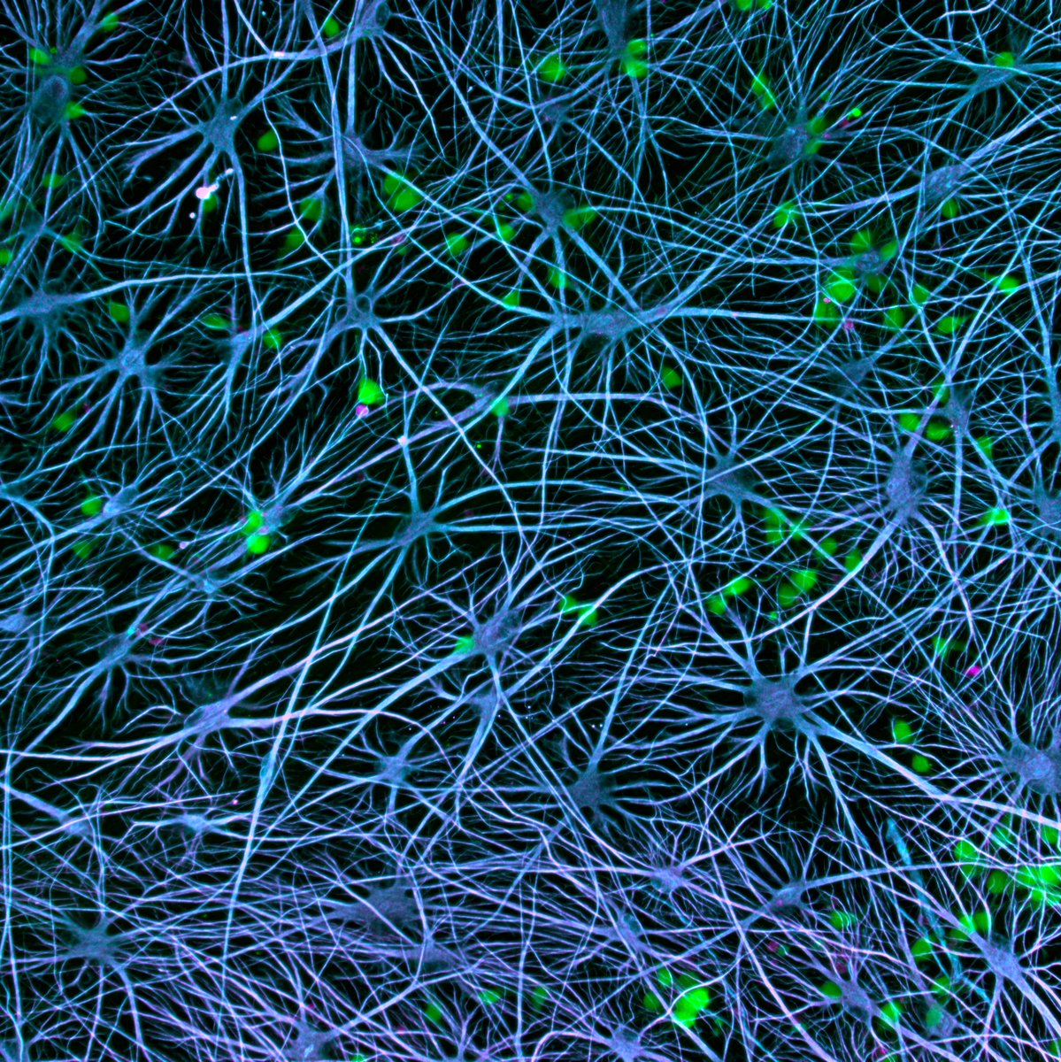 Parker Grosjean tweet media