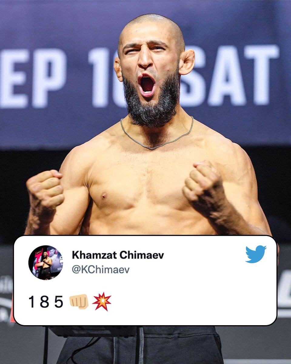 The Wolf is moving up ⬆️ ⚖️