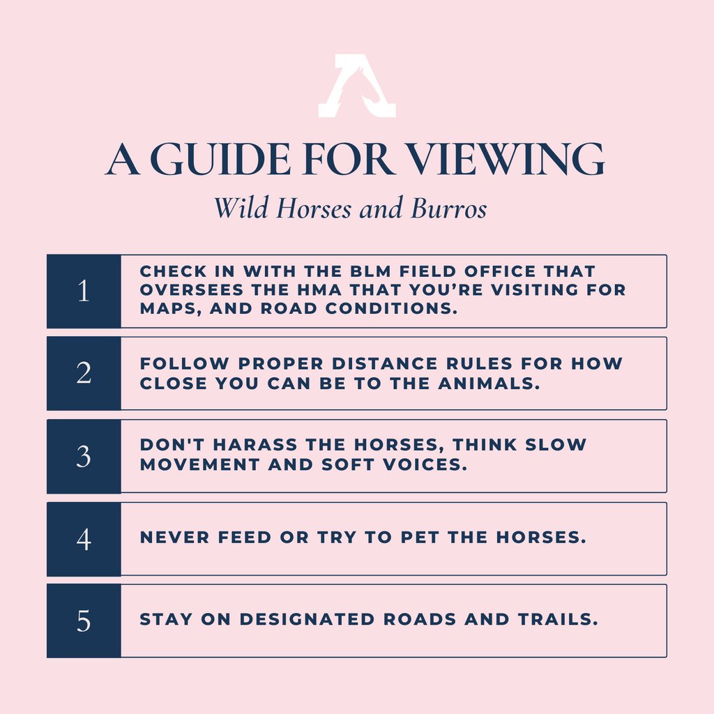 FreeWildHorses's tweet photo. Due to a recent incident where two tourists were charged with getting too close to a wild horse in North Carolina, we are highlighting important etiquette while viewing wild horses and burros. 

https://t.co/8vbsqBadRO https://t.co/vDoE9aiTfH