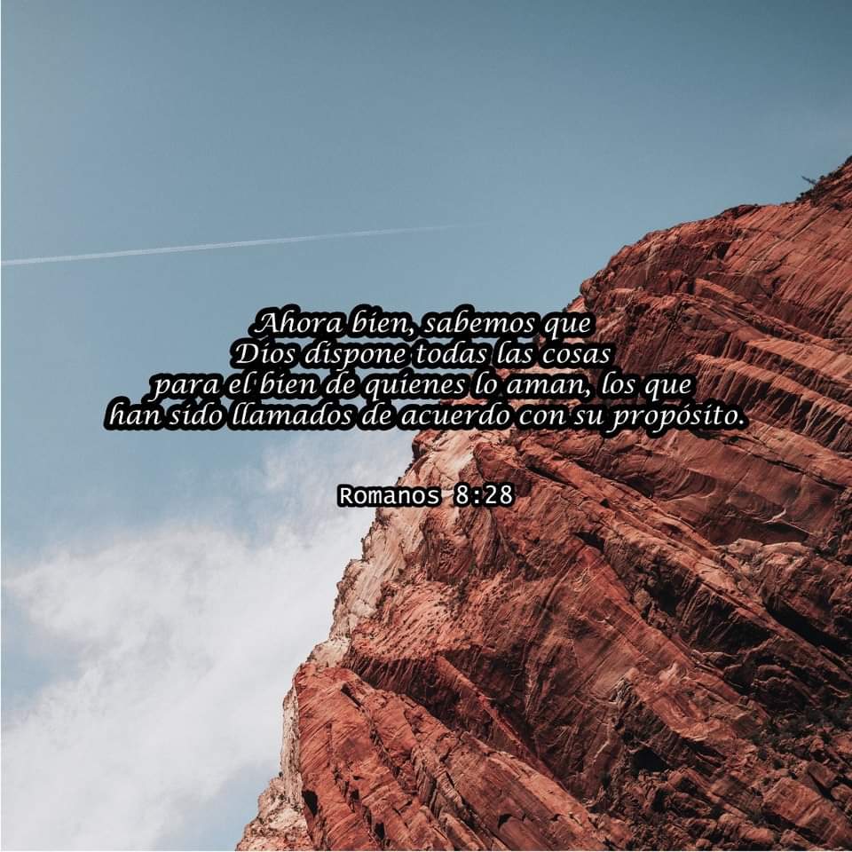 RadioVidaHN's tweet photo. Ahora bien, sabemos que Dios dispone todas las cosas para el bien de quienes lo aman, los que han sido llamados de acuerdo con su propósito.
Romanos 8:28📖 

#versiculodevida 
#vidafm #conactitudpositiva 

106.5///94.7 📻 https://t.co/h3sl4Isu7L