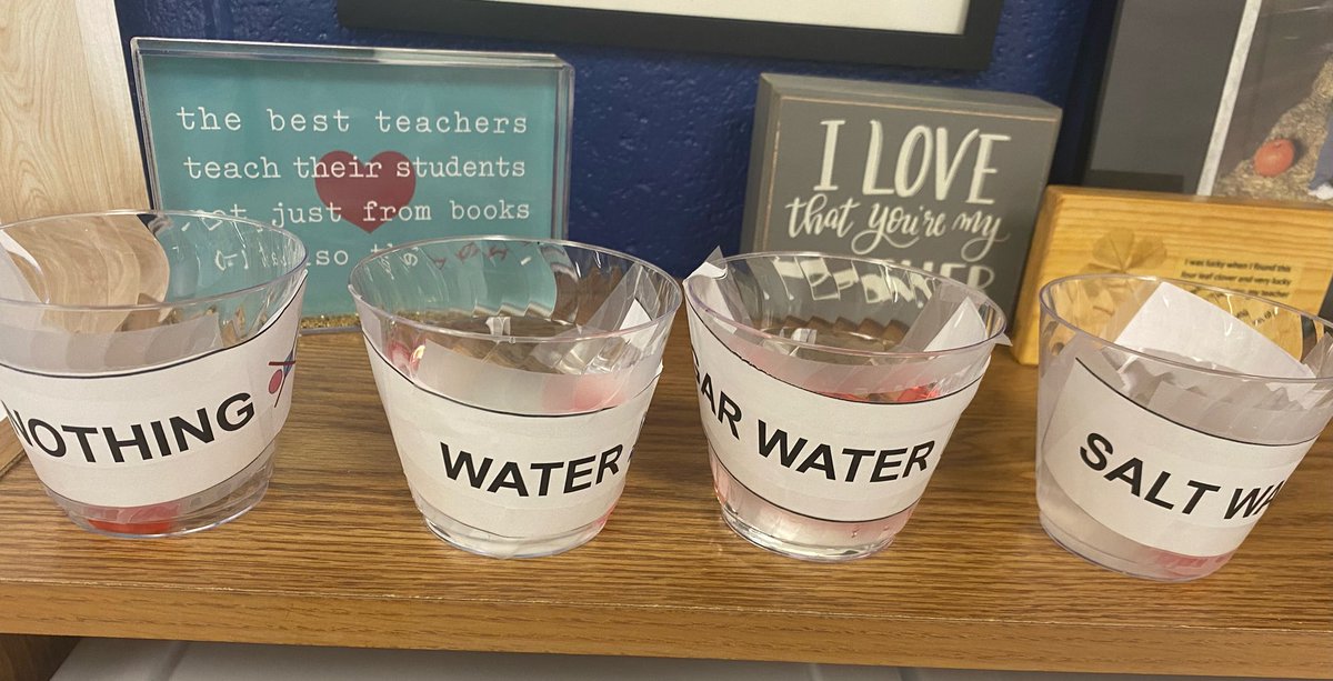 awlswa's tweet photo. These scientists conducted an experiment and collected data using gummy bears!! #ScienceIsSweet @OSLN #STEAM https://t.co/w3ZKDV7IWs