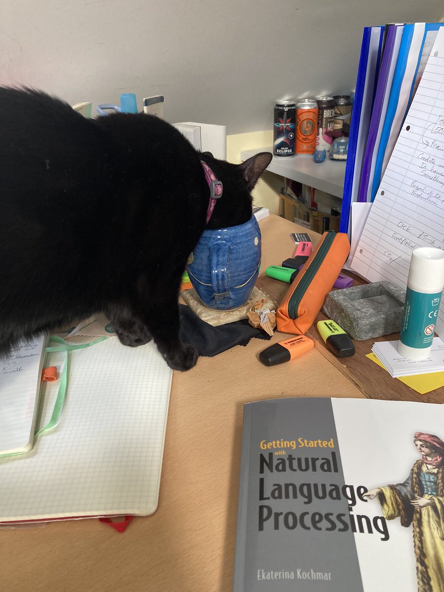 RichPitts's tweet photo. Meanwhile #researchcat betty is drinking my tea ๐ https://t.co/5gjCqnKeHQ