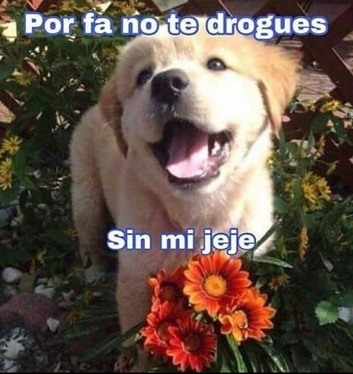 Elparaguayo1231's tweet photo. https://t.co/JlY3VNJNdO