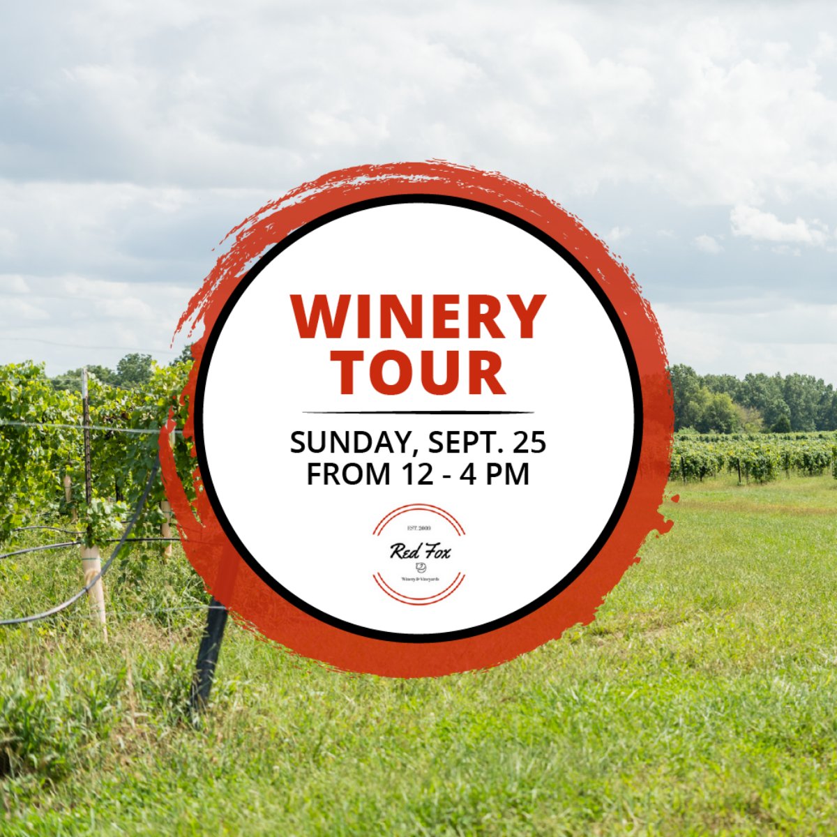 RedFoxWinery's tweet photo. If you've always wanted to know how our wine is made, now's your chance to come watch! Join us this Sunday, Sept. 25 from 12 to 4 PM for a winery tour, where we'll show you our wine production from start to finish. To reserve a spot, call (816) 918-8161. https://t.co/78zca2sHH7