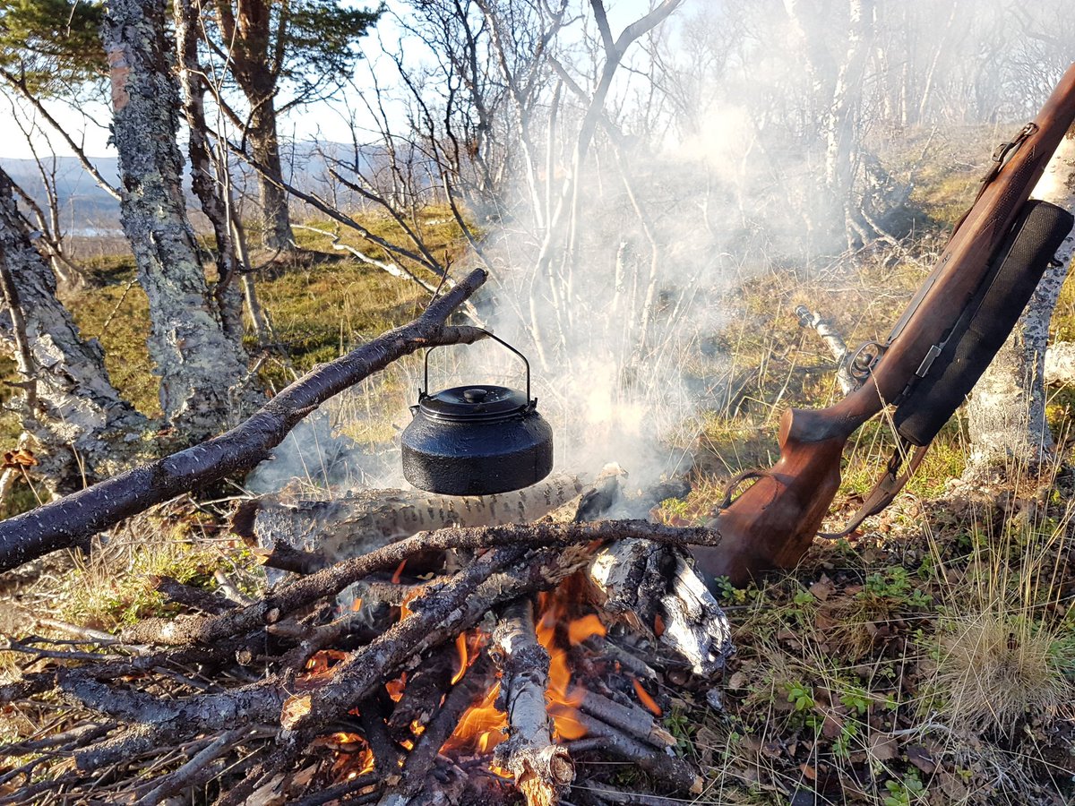 FeFo_no's tweet photo. I helga starter elgjakta for resten av Finnmark. Vi håper jakta gir ureist mat for elgjegerne. 🍗 Skitt jakt! #finmmarkseiendommen https://t.co/wC4E1rrl84