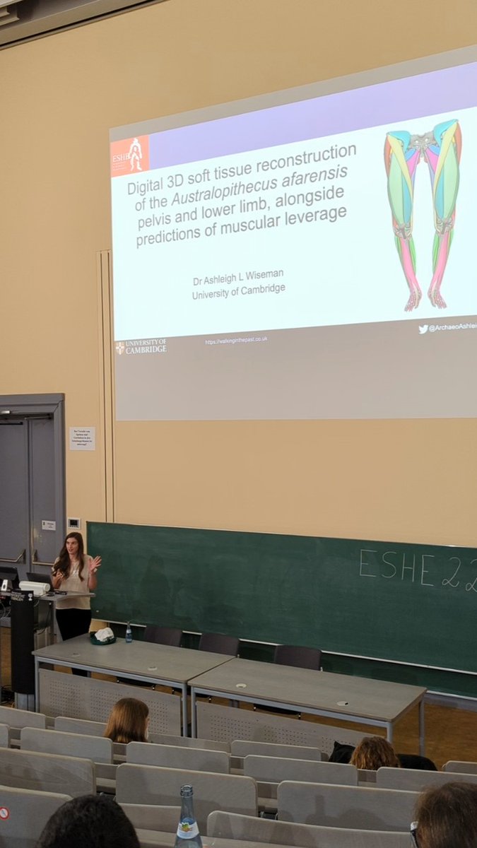 Julia van Beesel tweet media